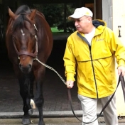 Meeting one of the stallions