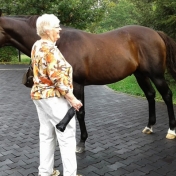 One by one members posed with one of the stallions