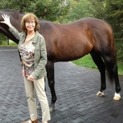 One by one members posed with one of the stallions