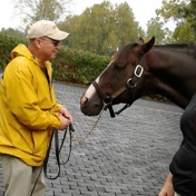 One by one members posed with one of the stallions