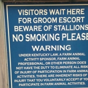 sign -  beware of stallions