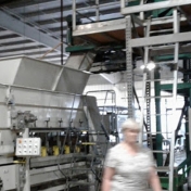 Touring ColorPoint Bedding Plant Facility