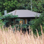 Rental cabin at Snug Hollow