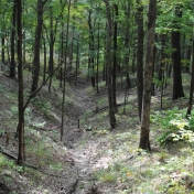 Views on one of the nature trails at Snug Hollow