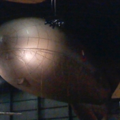 Caquot Type R Observation Balloon in the early years gallery