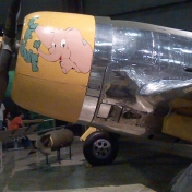 Republic P-47D (Bubble Canopy Version) - WWII Gallery